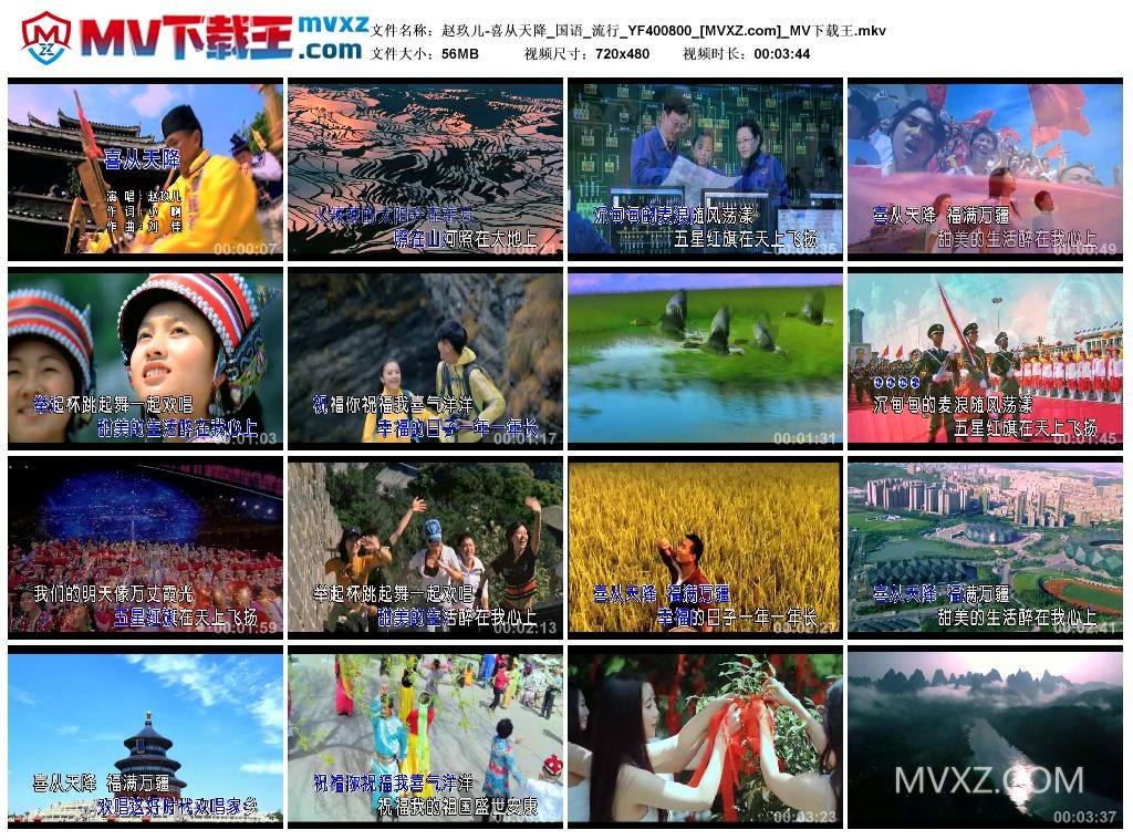 赵玖儿-喜从天降_国语_流行_YF400800